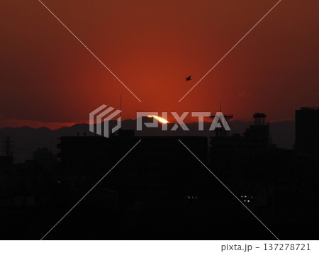 オレンジ色の夕空と関東山地に沈む太陽 オレンジ色の夕空と関東山地に沈む太陽 137278721