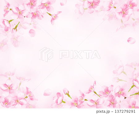 水彩風の桜のふんわり奥行きのある背景 137279291