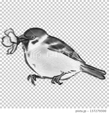 花ラッパのすずめ(墨絵風) 花ラッパのすずめ(墨絵風) 137279300