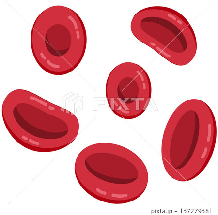 Group of Red Blood Cells Erythrocytes Illustration 137279381