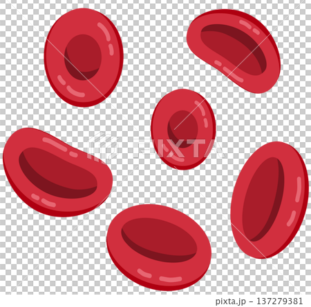Group of Red Blood Cells Erythrocytes Illustration 137279381