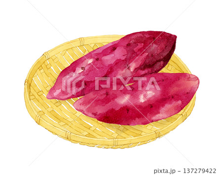竹ざるに乗ったサツマイモ 野菜の手描き水彩イラスト素材 竹ざるに乗ったサツマイモ 野菜の手描き水彩イラスト素材 137279422