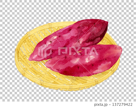 竹ざるに乗ったサツマイモ 野菜の手描き水彩イラスト素材 竹ざるに乗ったサツマイモ 野菜の手描き水彩イラスト素材 137279422