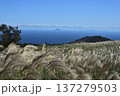 細野高原 137279503