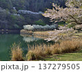 松川湖 137279505