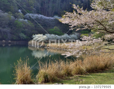 松川湖 松川湖 137279505