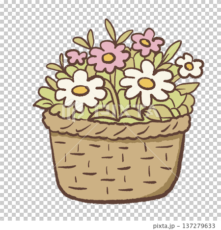 Wicker basket filled with spring flowers daisies and wildflowers cute hand drawn floral arrangement illustration rustic garden basket for botanical designs greeting cards and farmhouse decor Wicker basket filled with spring flowers daisies and wildflowers cute hand drawn floral arrangement illustration rustic garden basket for botanical designs greeting cards and farmhouse decor 137279633