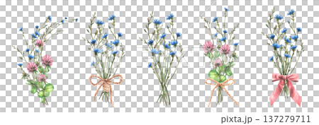 Wildflower bouquet set. Watercolor Field pink clover, blue chicory flowers, buds, meadow wild herbs tied with bow. Bunch of summer greenery. Hand drawn illustration on Isolated white background 137279711