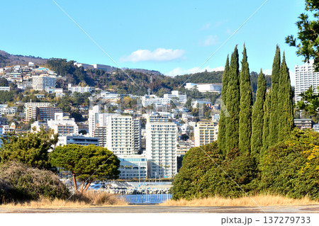 熱海観光港芝生広場から見る温泉ホテルや旅館で埋まる丘陵地帯 137279733