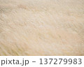 風に揺れる一面のススキ, 秋の自然風景 137279983
