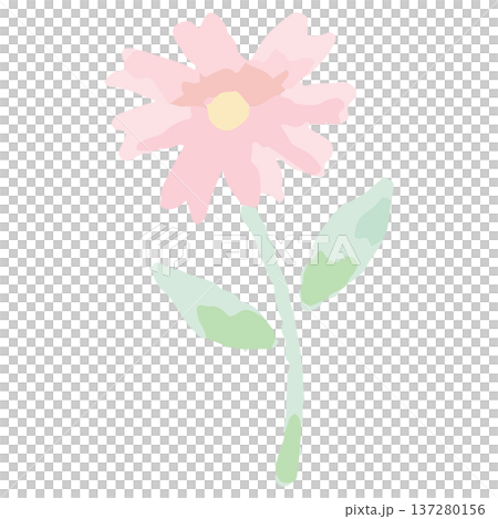 幼稚園・保育園向け 9月のやさしい水彩挿絵イラストシリーズ｜コスモス 137280156