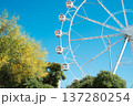 Barceloneta beach ferris wheel in Barcelona, Spain 137280254