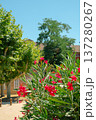 Summer of Ciutadella Park in Barcelona, Spain 137280267