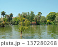 Ciutadella Park Lake boating scenery in Barcelona, Spain 137280268