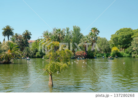 Ciutadella Park Lake boating scenery in Barcelona, Spain Ciutadella Park Lake boating scenery in Barcelona, Spain 137280268