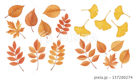 いろいろな秋の葉っぱ いろいろな秋の葉っぱ 137280274
