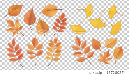 いろいろな秋の葉っぱ いろいろな秋の葉っぱ 137280274