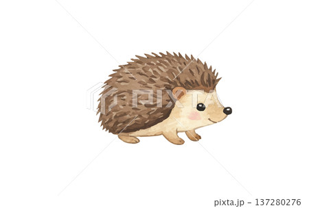 ハリネズミのイラスト 137280276