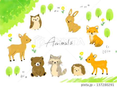 森の動物のかわいいイラストセット 森の動物のかわいいイラストセット 137280291