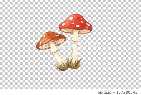 紅蘑菇 137280345