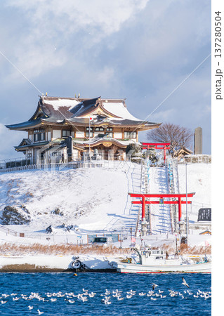 「青森県」雪景色のうみねこ繁殖地・蕪島　八戸市 137280504