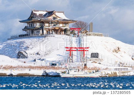 「青森県」雪景色のうみねこ繁殖地・蕪島　八戸市 137280505