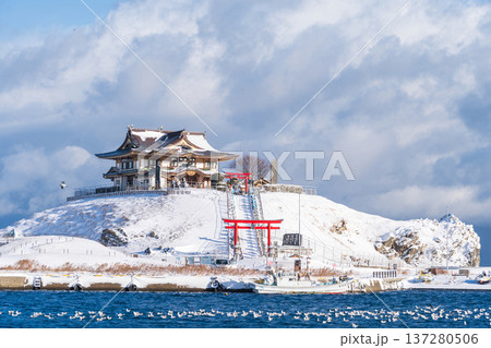 「青森県」雪景色のうみねこ繁殖地・蕪島 八戸市 「青森県」雪景色のうみねこ繁殖地・蕪島 八戸市 137280506