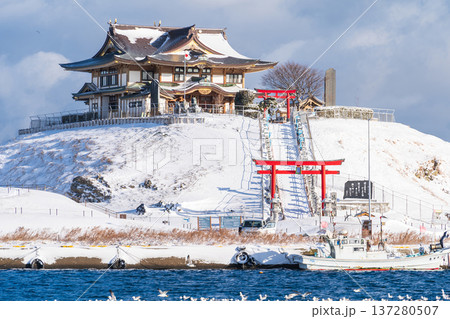 「青森県」雪景色のうみねこ繁殖地・蕪島 八戸市 「青森県」雪景色のうみねこ繁殖地・蕪島 八戸市 137280507