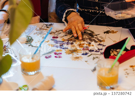 Herbarium. Dried various flowers and leaves. A woman makes an applique of dried flowers. Herbarium. Dried various flowers and leaves. A woman makes an applique of dried flowers. 137280742