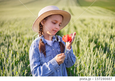 A young girl wearing a straw hat and denim shirt gently holds a red poppy while standing in a vast field of green wheat A young girl wearing a straw hat and denim shirt gently holds a red poppy while standing in a vast field of green wheat 137280887