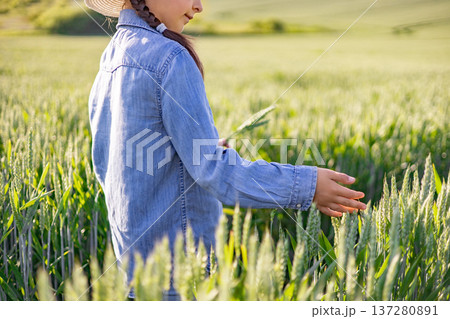 A young girl wearing a straw hat and denim shirt walks through a sunlit wheat field, touching the stalks with her hand 137280891