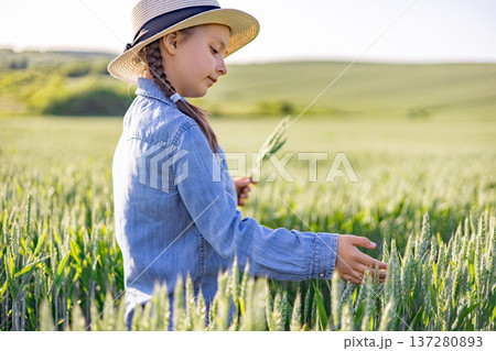 A young girl wearing a straw hat and denim shirt examines wheat stalks in a sunlit field, contemplating agriculture and nature 137280893
