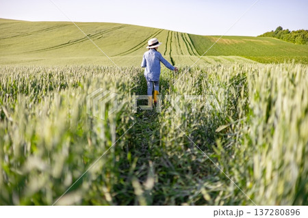 A young child wearing a straw hat and yellow boots walks through a lush green wheat field on a sunny day A young child wearing a straw hat and yellow boots walks through a lush green wheat field on a sunny day 137280896