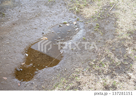 雨上がりの地面 梅雨 初夏 夏 夕立 通り雨 公園 イメージ 雨上がりの地面 梅雨 初夏 夏 夕立 通り雨 公園 イメージ 137281151