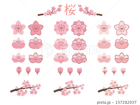 桜の素材セット 137282037