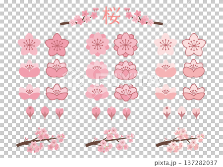 Sakura's material set Sakura's material set 137282037