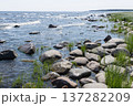 Rugged rocky shoreline of lake Ladoga with grass 137282209