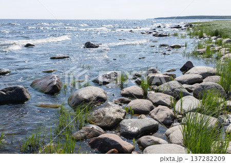 Rugged rocky shoreline of lake Ladoga with grass Rugged rocky shoreline of lake Ladoga with grass 137282209
