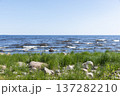 Coastal landscape of Ladoga lake in summer 137282210