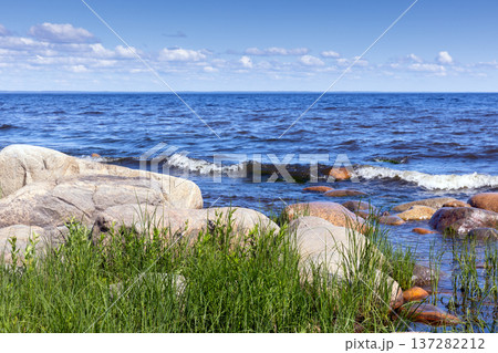 Lush green grass grows on a rocky coast as lake waves Lush green grass grows on a rocky coast as lake waves 137282212