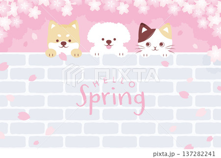 桜の花と煉瓦の壁から顔を出す犬と猫の背景イラスト 137282241