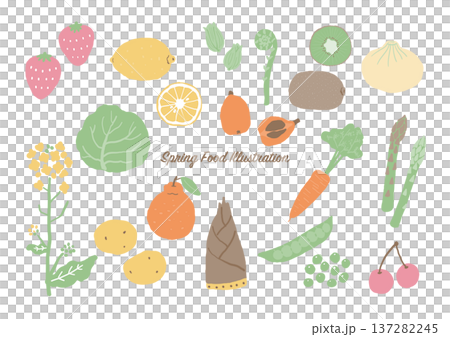 春の食べ物イラストセット(野菜・果物・山菜素材集)カラー 春の食べ物イラストセット(野菜・果物・山菜素材集)カラー 137282245