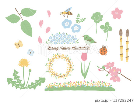 春の自然イラストセット（花・鳥・虫の素材集）カラー 137282247