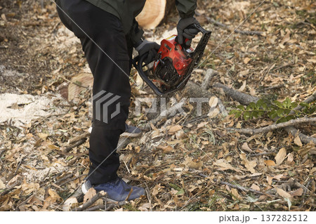 チェーンソーで木を伐採するミドル男性作業員手元 137282512