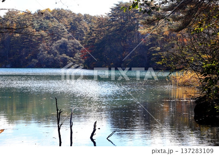 裏磐梯五色沼　紅葉　毘沙門沼 137283109