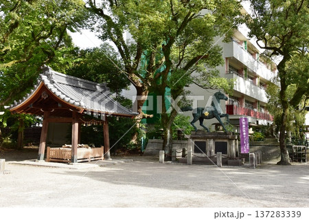 三重県四日市市 諏訪神社手水舎と御神馬像 三重県四日市市 諏訪神社手水舎と御神馬像 137283339