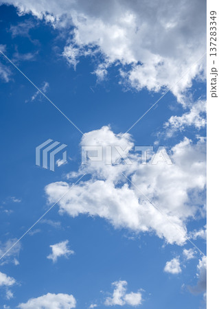 春の空 青空 空 晴れ 春 3月 【神奈川県 厚木市】 137283349