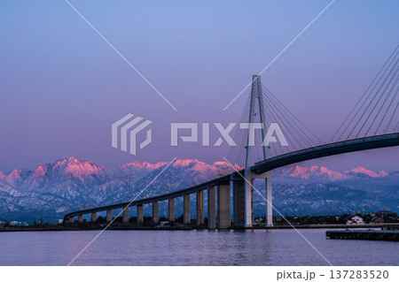 夕方の海王丸パークから新湊大橋と海王丸を前景にピンク色染まる立山連峰アーベンロート 夕方の海王丸パークから新湊大橋と海王丸を前景にピンク色染まる立山連峰アーベンロート 137283520