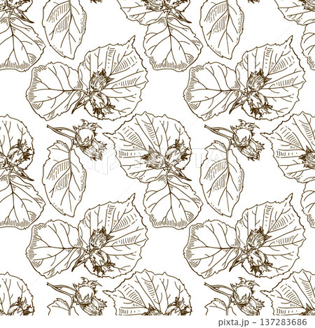 Hazelnut seamless pattern. Square vector illustration with brown nuts and leaves. 137283686