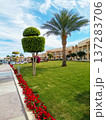 Hotel's well-maintained grounds feature palm trees 137283706